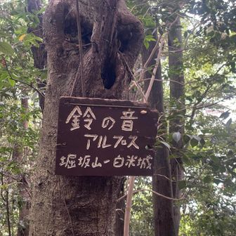 無事、下山してきました😁

とりあえず、膝は大丈夫そう👌
やっぱ、白米城はええお山です😙
やっぱ、山歩きはええもんです😏

有難う、白米城❗️