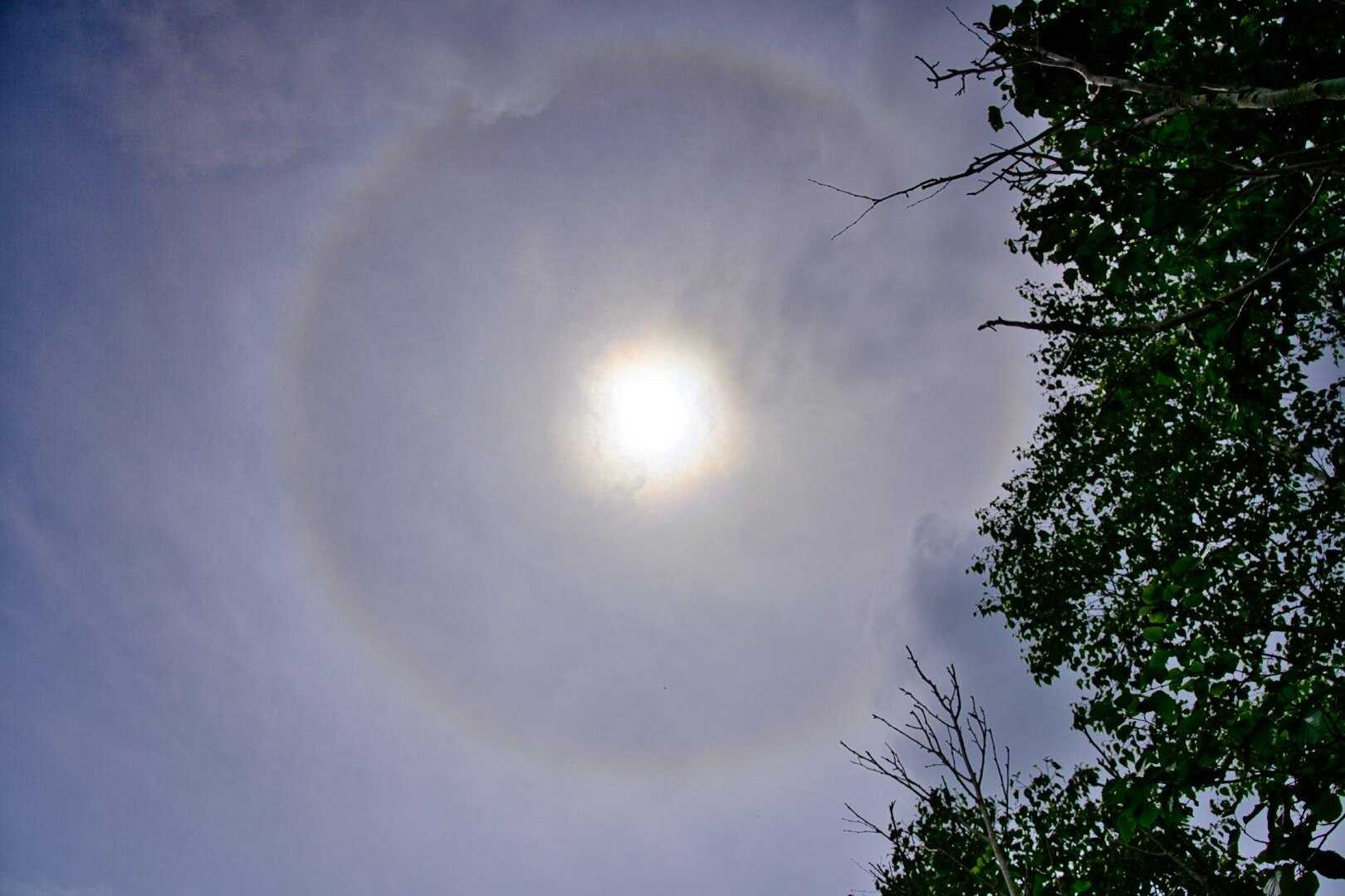 空を見上げるとハロが出現🙆‍♂️
このあと天気が崩れるのかな🌧️