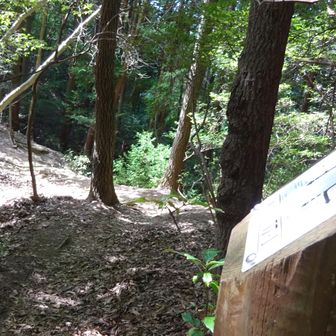 No.57-1
↑茶山　　　↓瓜生山