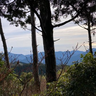 だいぶ疲れたので休憩して岩佐の関所へ。