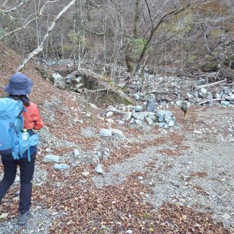 内の八重登山口に合流