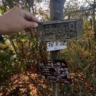 31　茨尾山　266.2m
No.18