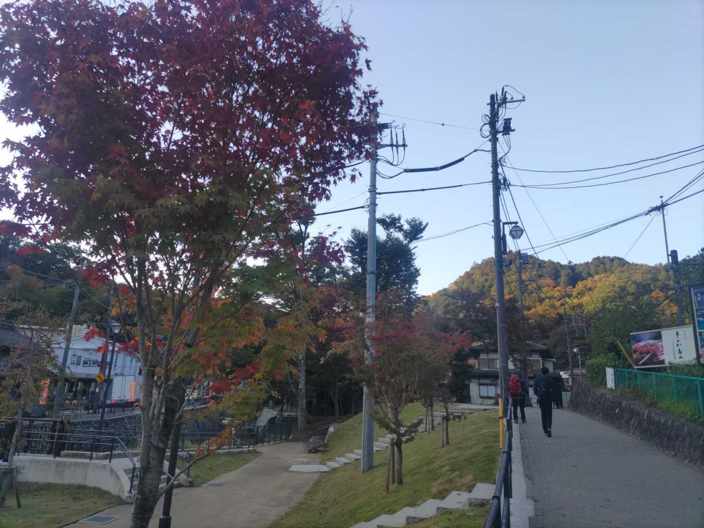 京王線高尾山口駅も、木々が色づきました🍁