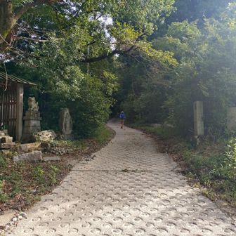 このコンクリート道路辛いんです。