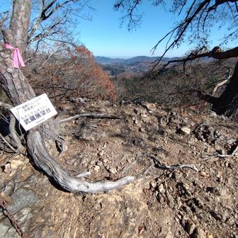 武蔵展望台に到着。