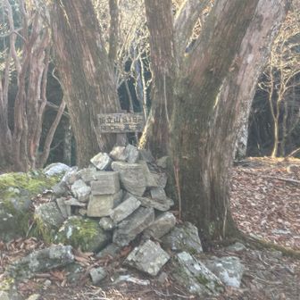 折立山山頂到着🙌。展望が良くないので、直ぐに戻ります。