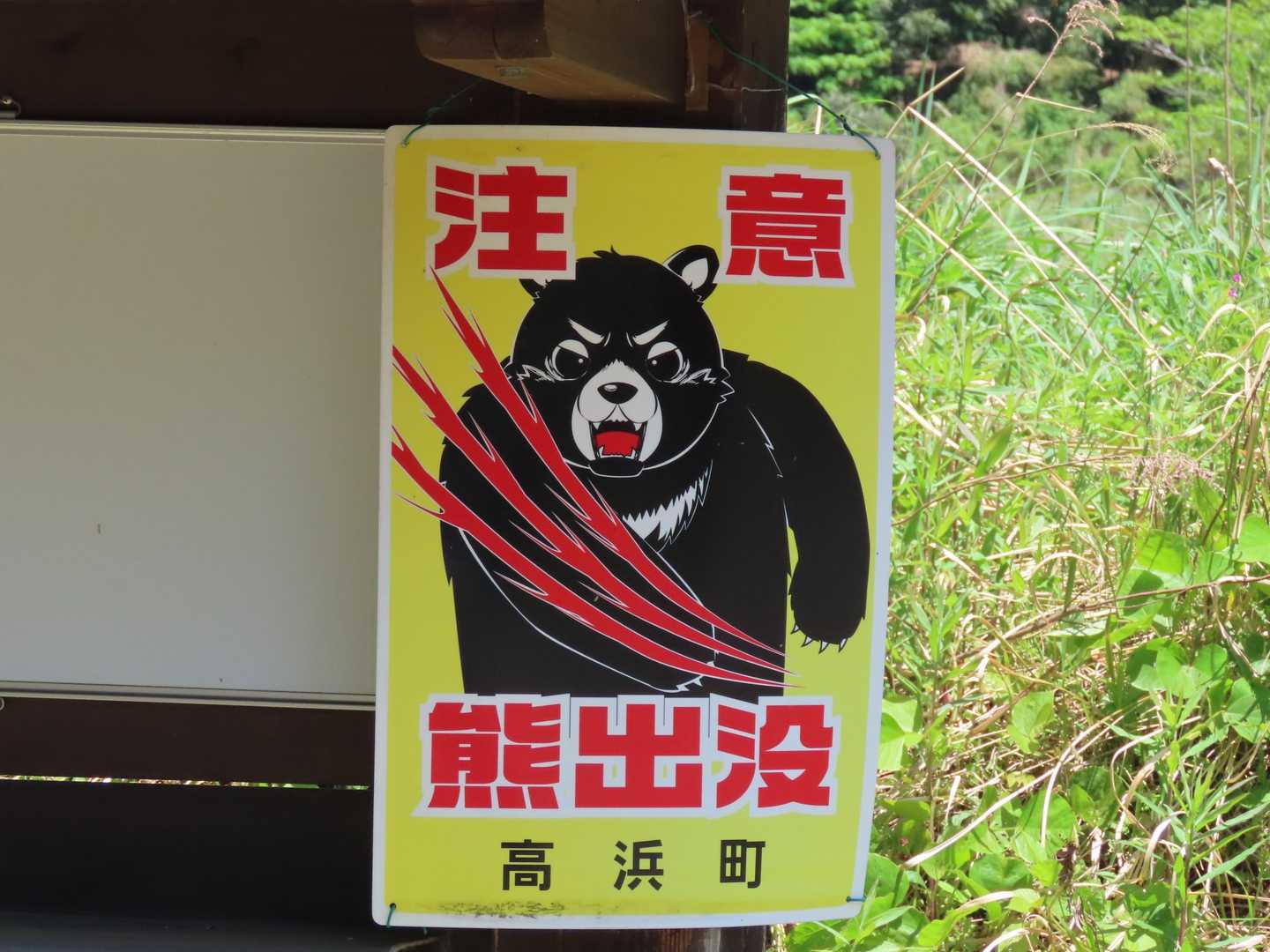 熊🐻
