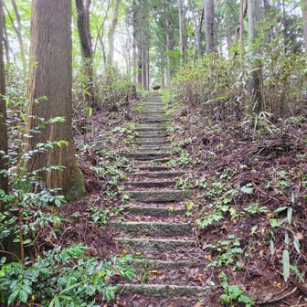 さらに登ります。