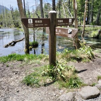 河童橋へ向かいます