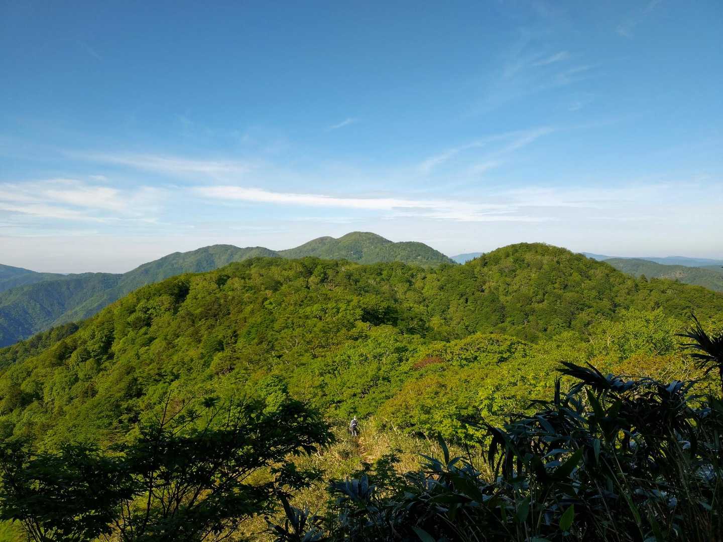 川上岳見えた〜❗
奥の１番高い山ですがめっちゃ遠い😵