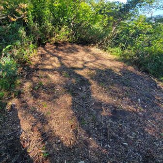 1524のテン場
沢山張れそう
こちらからは水場へも