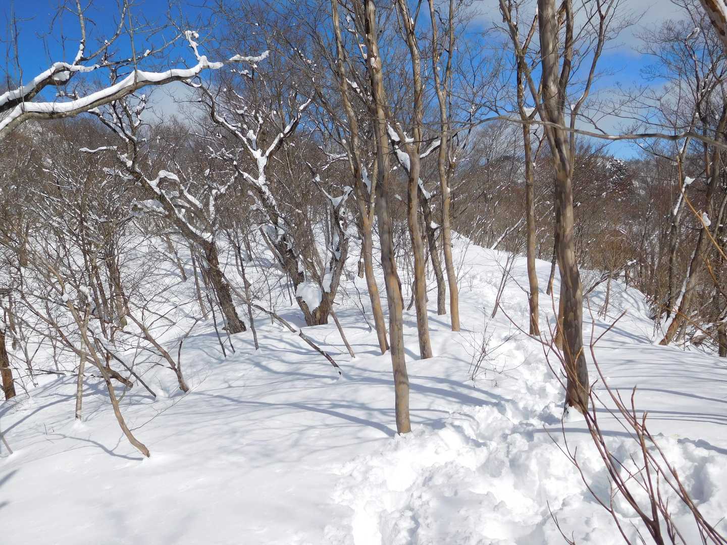 大丸山-来拝山 往復コースの写真