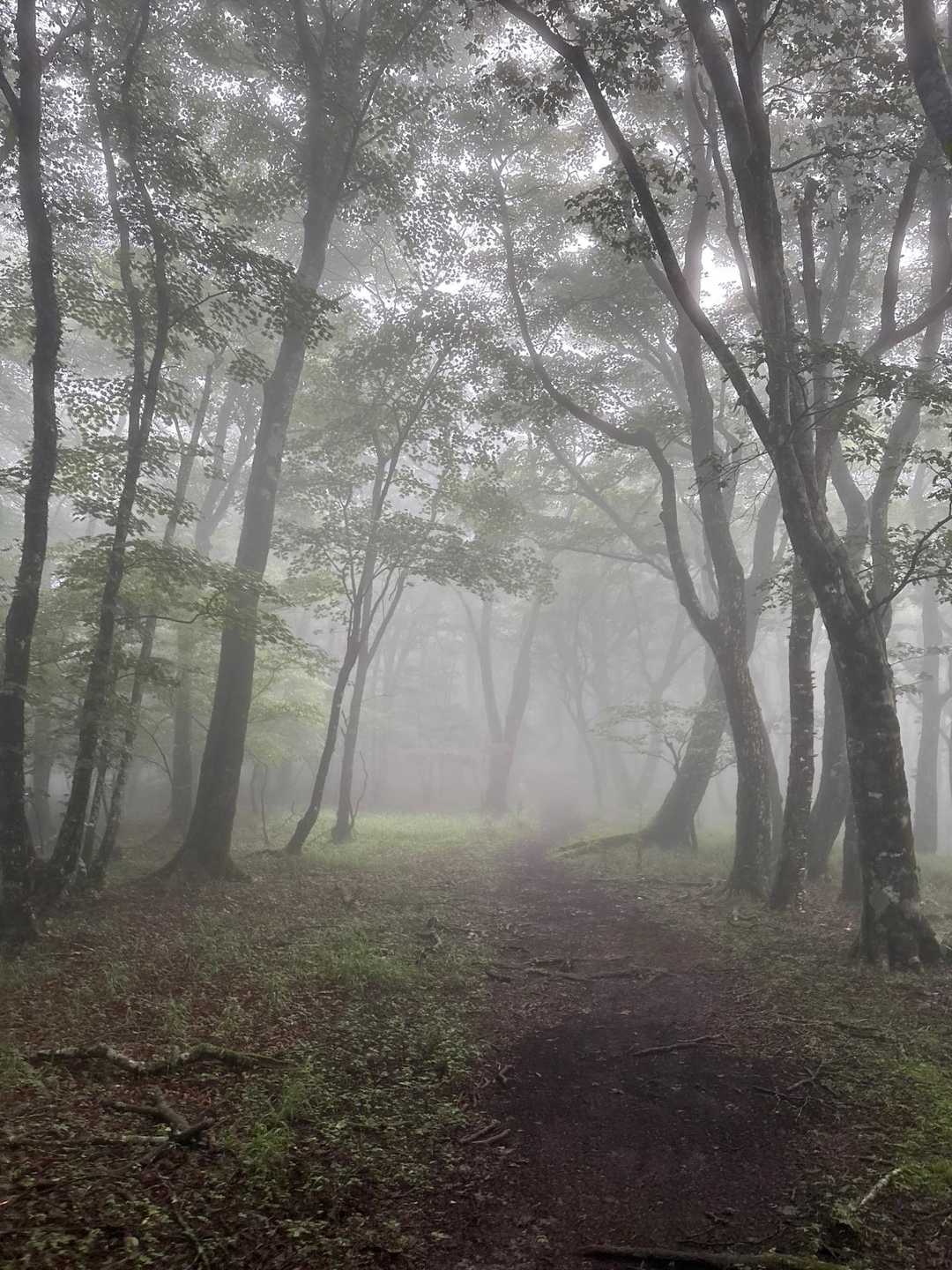 富士は晴れてるのかな…😶‍🌫️