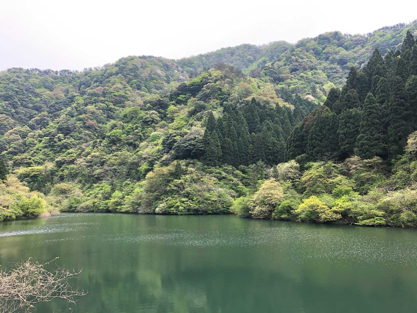 秋の景色も気になりますね
