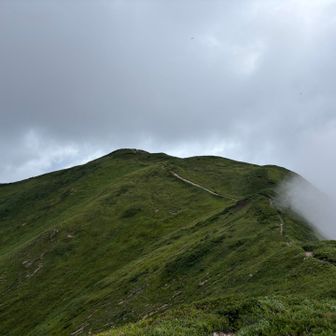と思ったら山の0.5kmは遠い😨