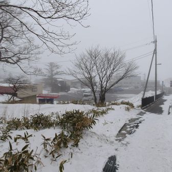 着いたぁぁぁ♪
おやっ？
車が増えちょる…20台くらいかな！
しかし、ガスって来たなぁ～！
チェーンスパイクの「外し時」って悩むよね…結局、駐車場まで装着してた！
Σ(ﾟДﾟ υ) ｱﾘｬ