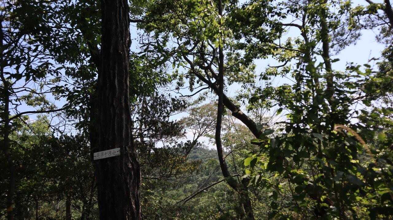 菖蒲が滝山の写真