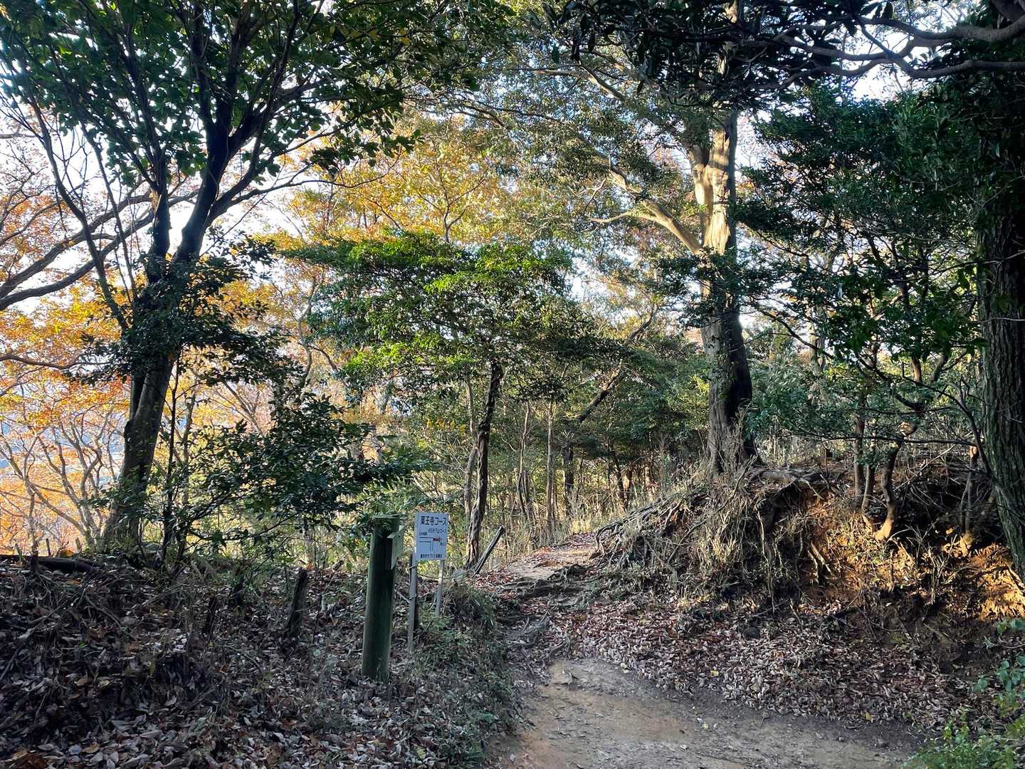 真っ直ぐ進めば薬王寺ルート、右手を進み下山します😁
