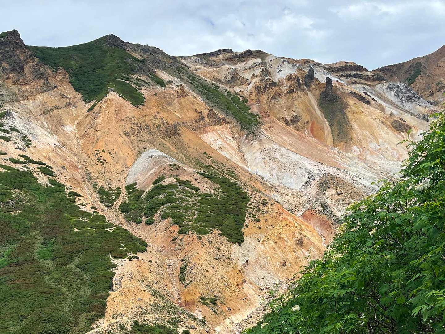 富良野岳往復 | 十勝岳温泉から楽しむ、雪渓とお花畑の山の写真