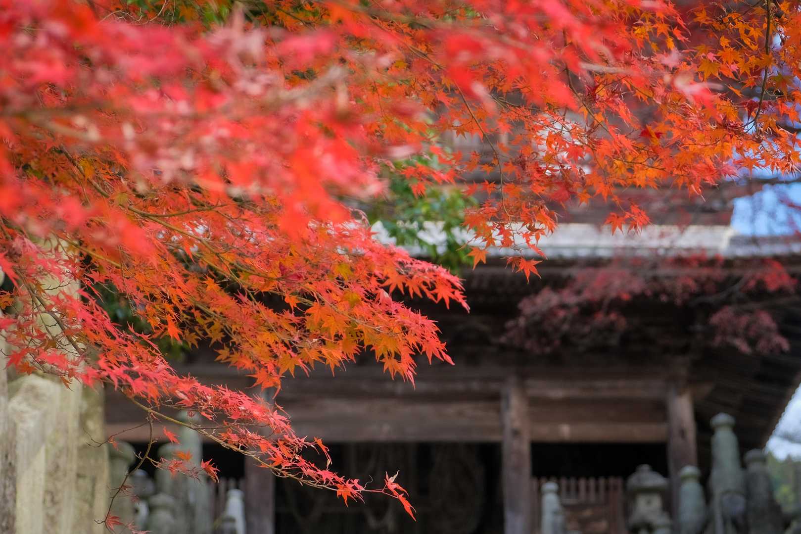 山門はロープウェイに乗ると見えません