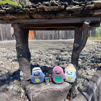 岩殿山の登山者数カウント