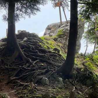 御池山山頂は岩の上