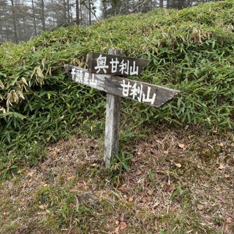 自分だけ、折角だから奥甘利山へ