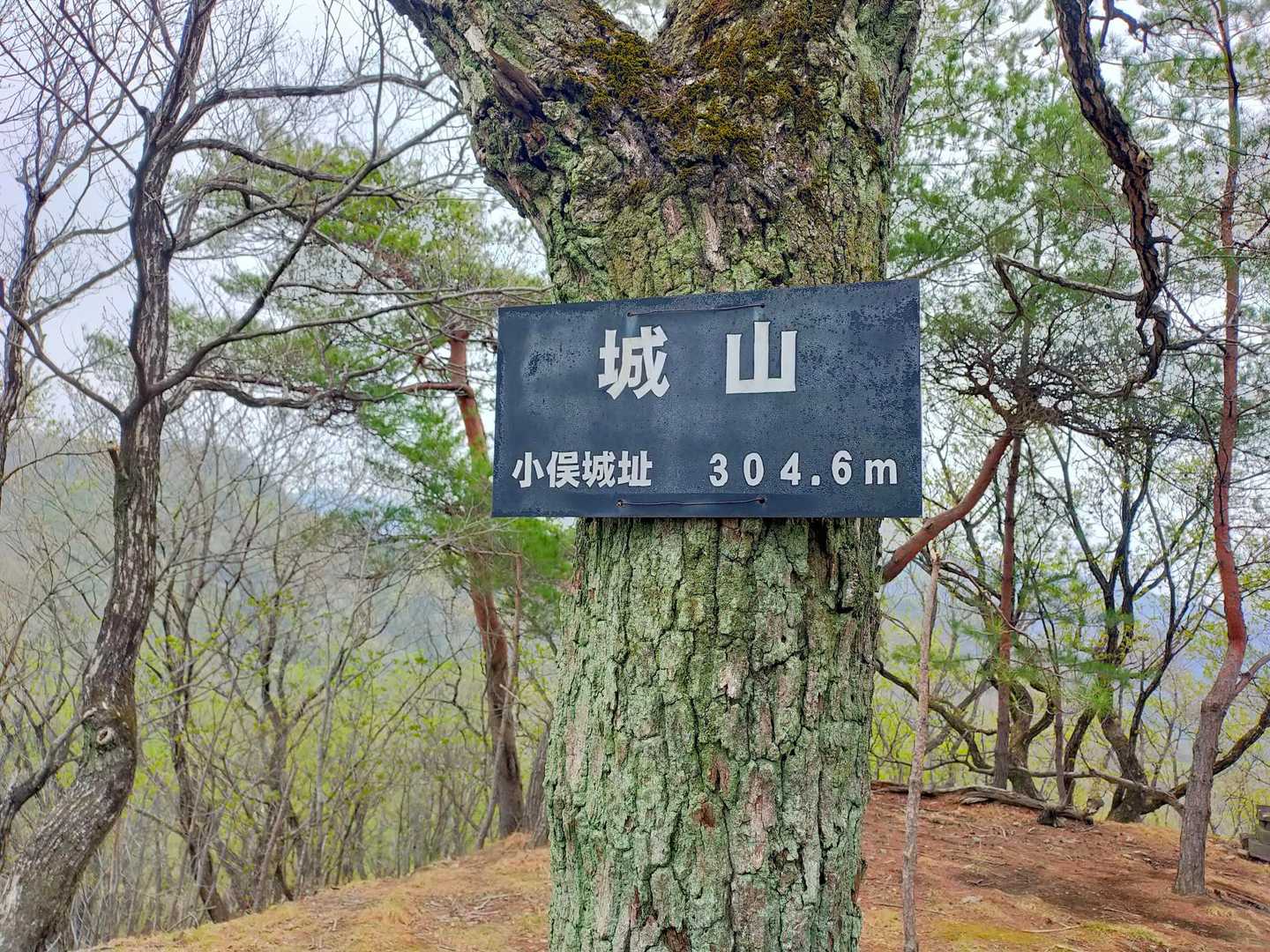 この周辺の山、城趾多いです
堀切跡も確認できます