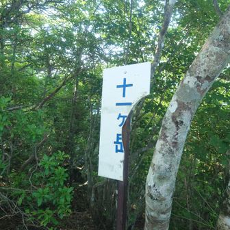 十一ヶ岳、ここから一ヶ岳まであります、何故か標識割れている所多し
