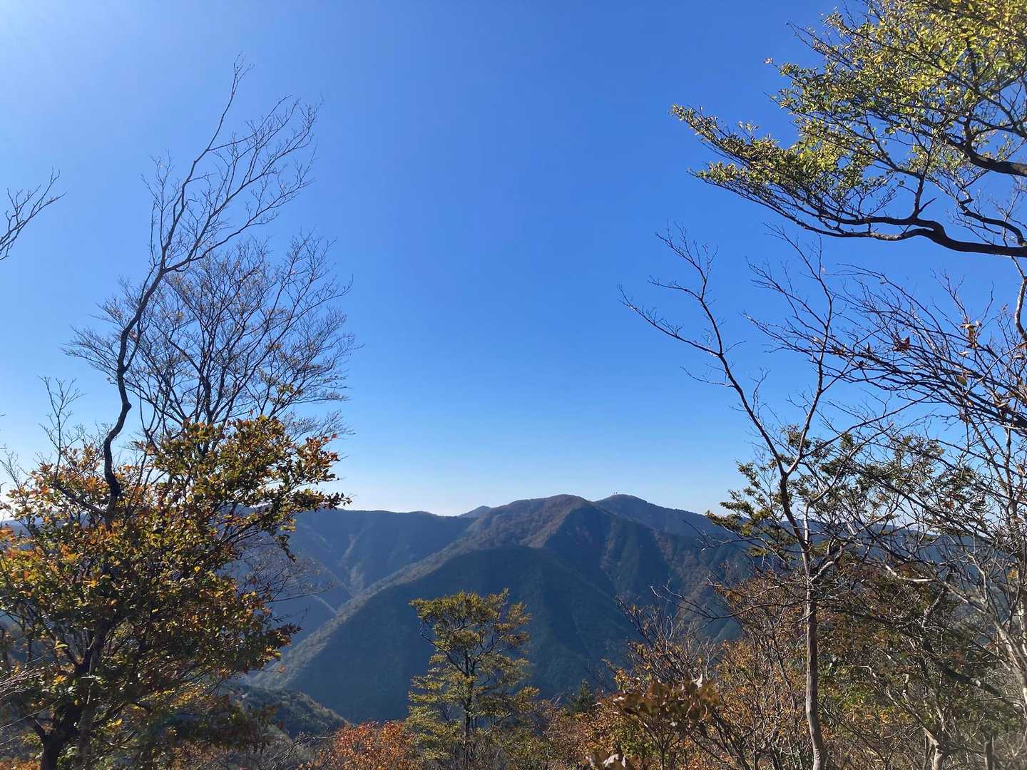 口千丈岳登山口-口千丈山-焼山ノ太尾ノ頭 往復コースの写真