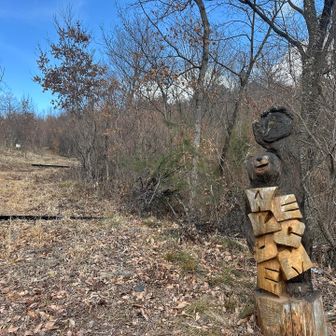 木彫りの熊で“welcome🐻”
ここで下山完了🙌