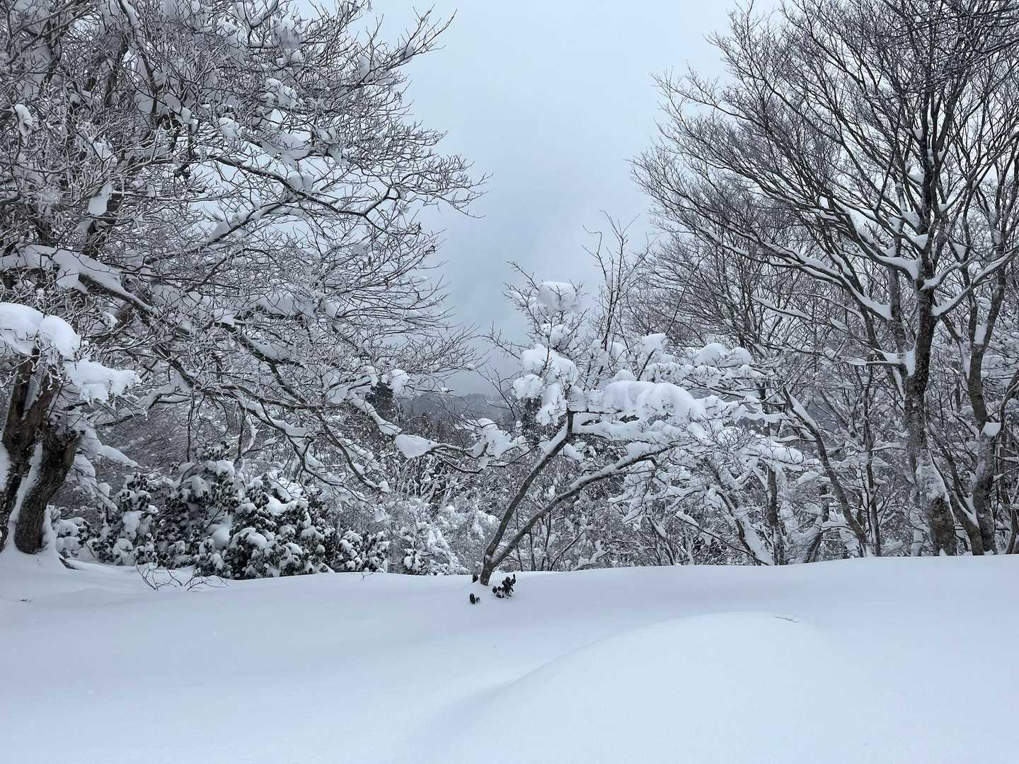 向こうのお山が少し見えます。