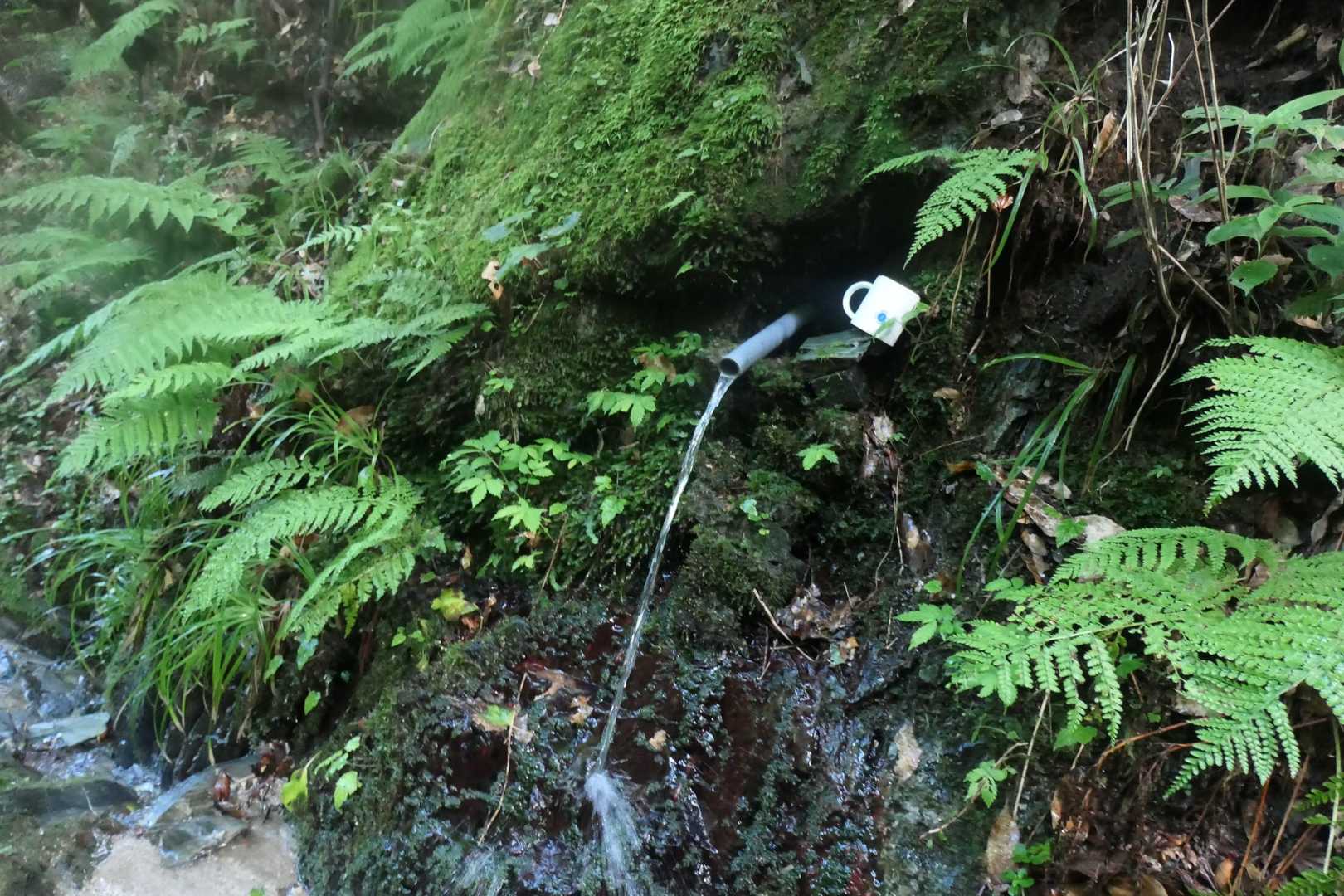 新しい水場