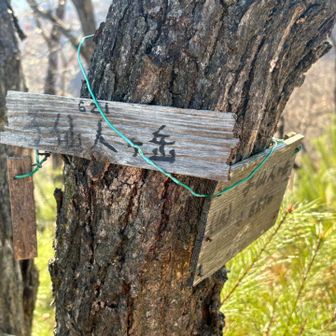 子仙人ヶ岳山頂