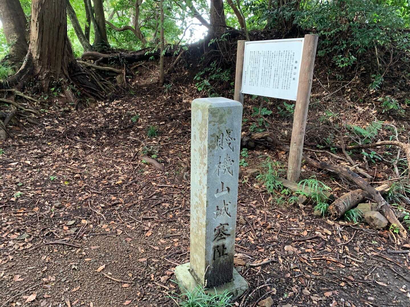 賤機山の写真