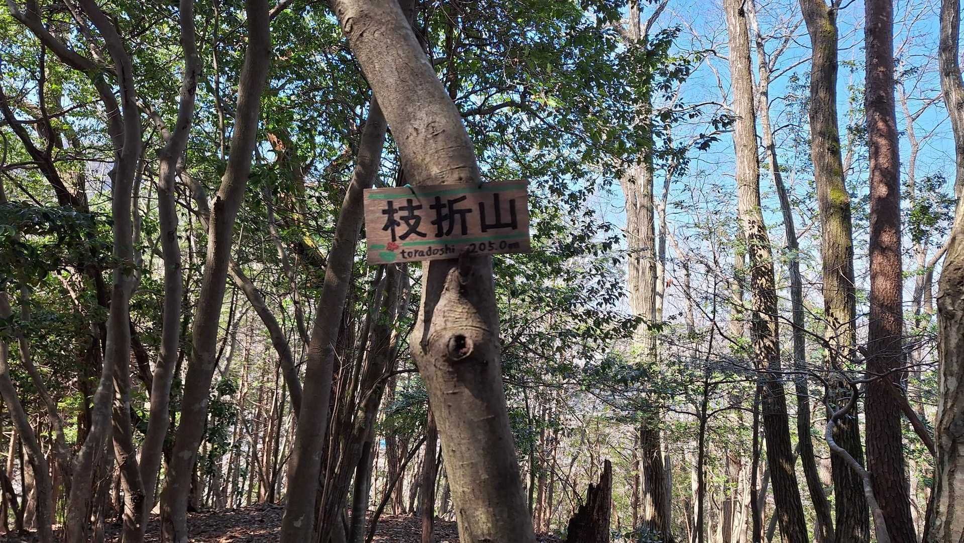 枝折山（しおりやま）