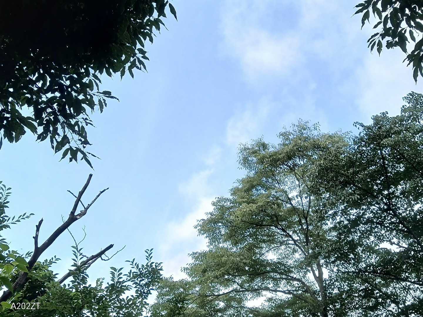 ウグイスの唄を聴きながらの朝食
メチャ気持ちイイですッ🥰
（ベチャベチャの足元以外は😭）