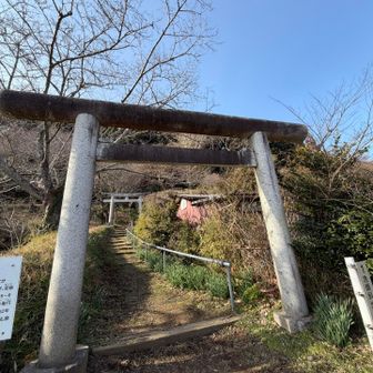 降りて来た登山道
