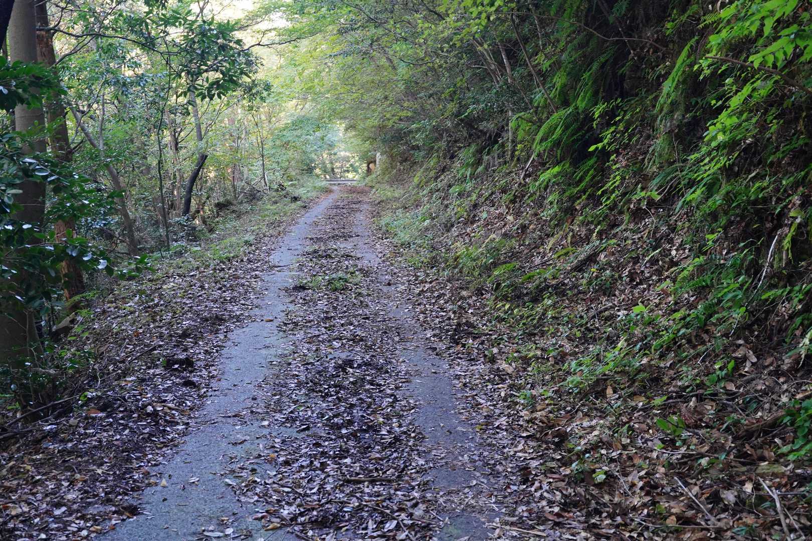 途中から舗装路になってるし行けたかな？
まあ緩やかな登りなので歩きの方が気は楽かもです