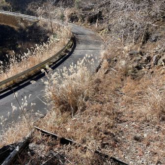 舗装路に出る💦