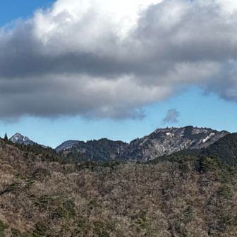 こっちは鎌様アップ👀
