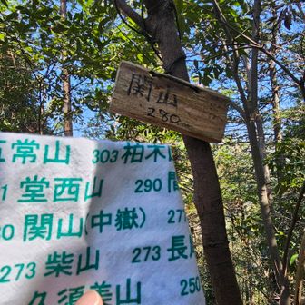 関山　（飯百　97座目）


今日はSpotifyで今ハマってる怒華雪-DØKAYUGI-を聴きながら登ってます。AIによるビジュアル系バンド、とうとう時代もここまできた。ハトのようにヘドバンしながら急登を前に進む戦法。←あ、ヘドバンは気持ちだけよ。いつもYouTubeで動画で見てるので推しメンと歌詞を追いかけるのに夢中なので、こうして曲だけ聞くと、やっぱりいい声、いい曲〜（歌詞は置いといて）先週飯能行った時に駅で東北マルシェやってて、やきにくのたれ源が売ってたので思わず買っちゃったよね〜。