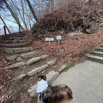 だんだん登るのヤダだなぁみたいな
