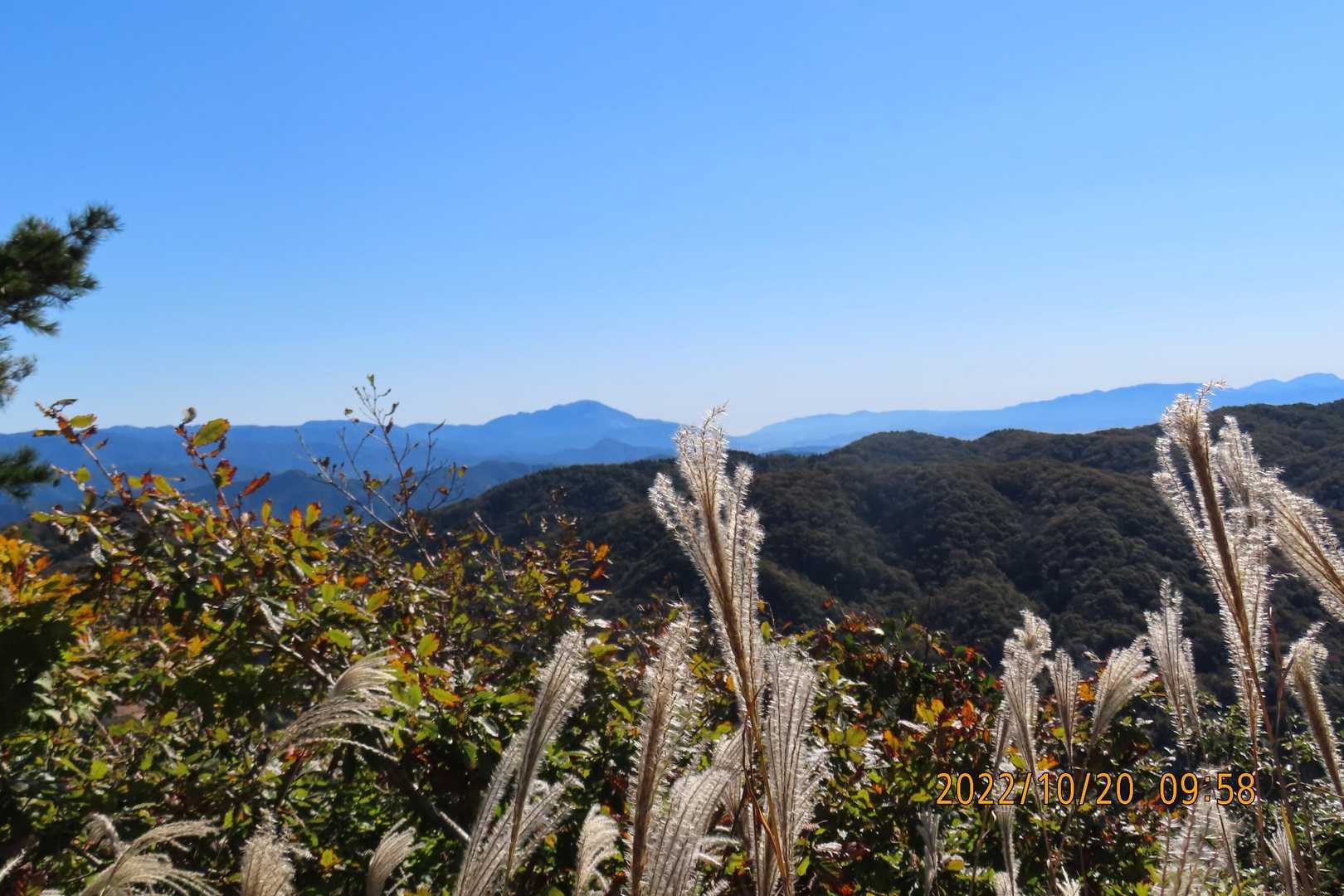 今日の伊吹山①