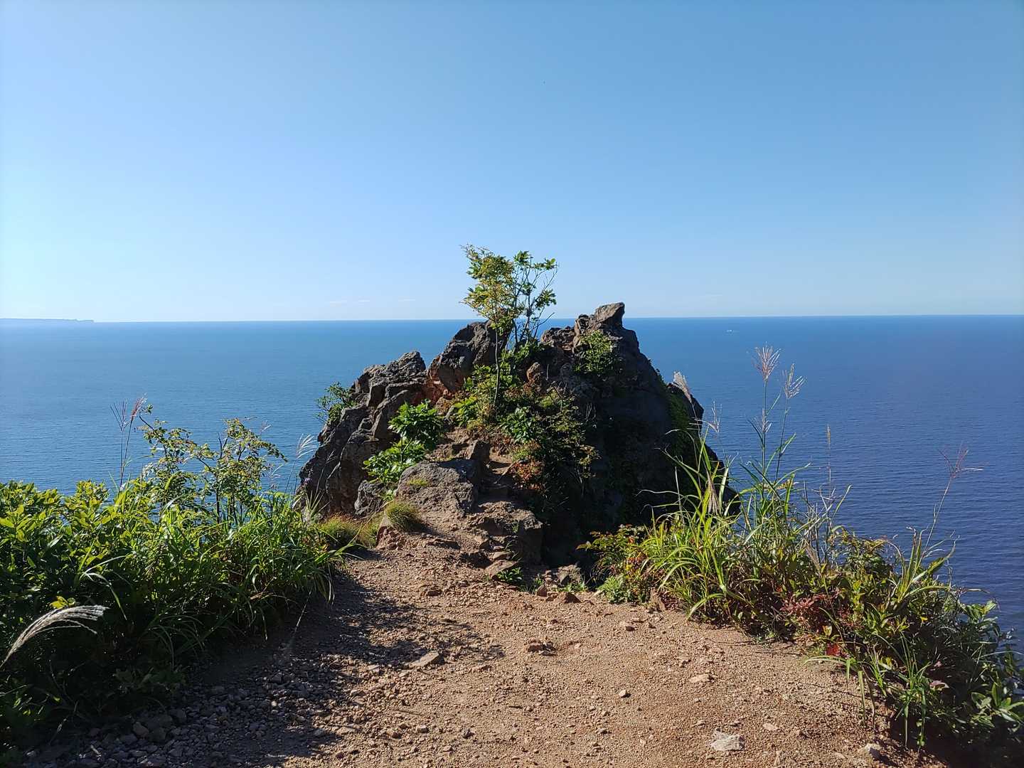 下赤岩山 往復コースの写真