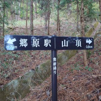 山頂  0.8km