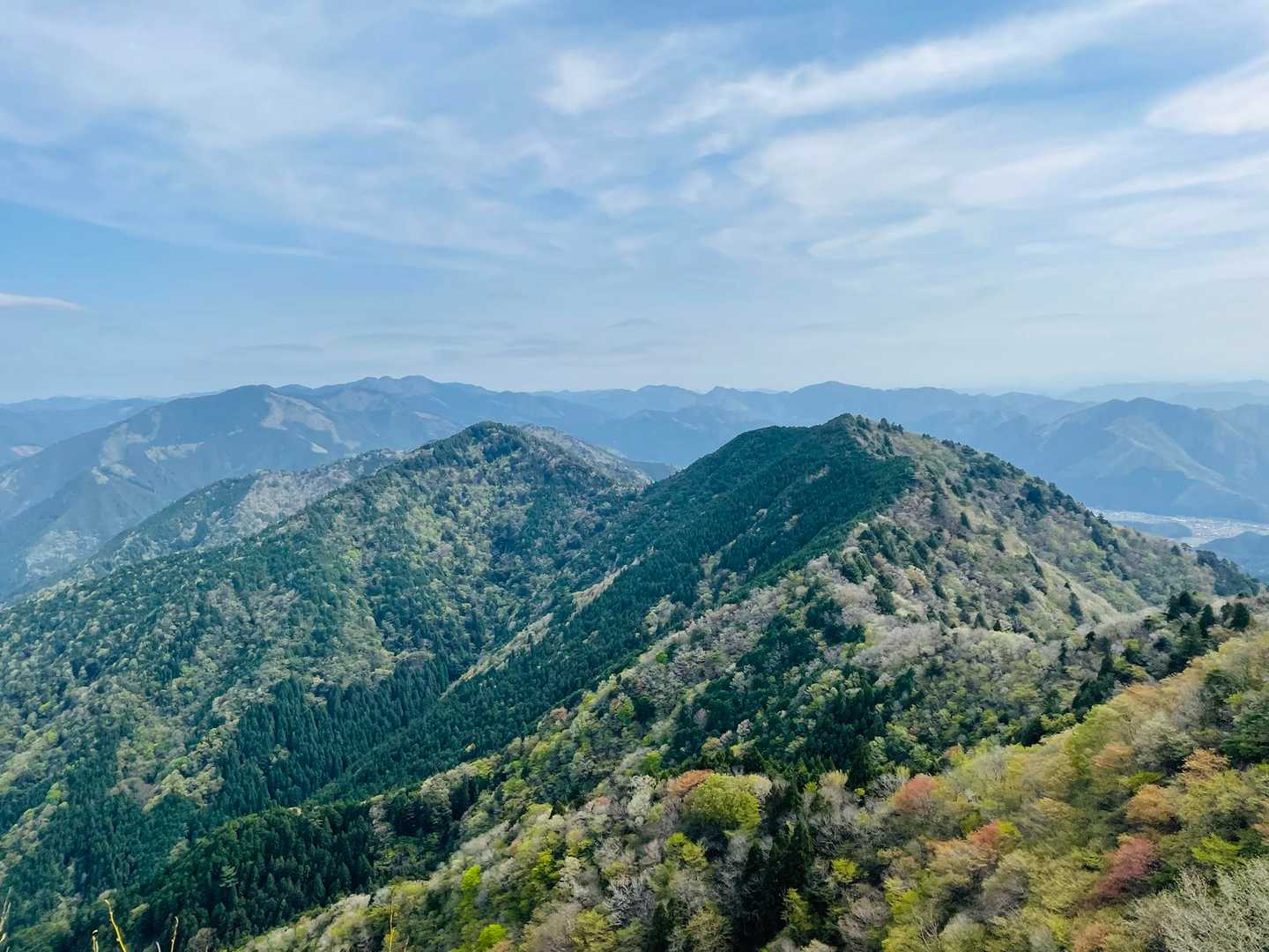 仙人ハイク稜線⛰️
4月も後半になり緑が濃くなってきた🍀