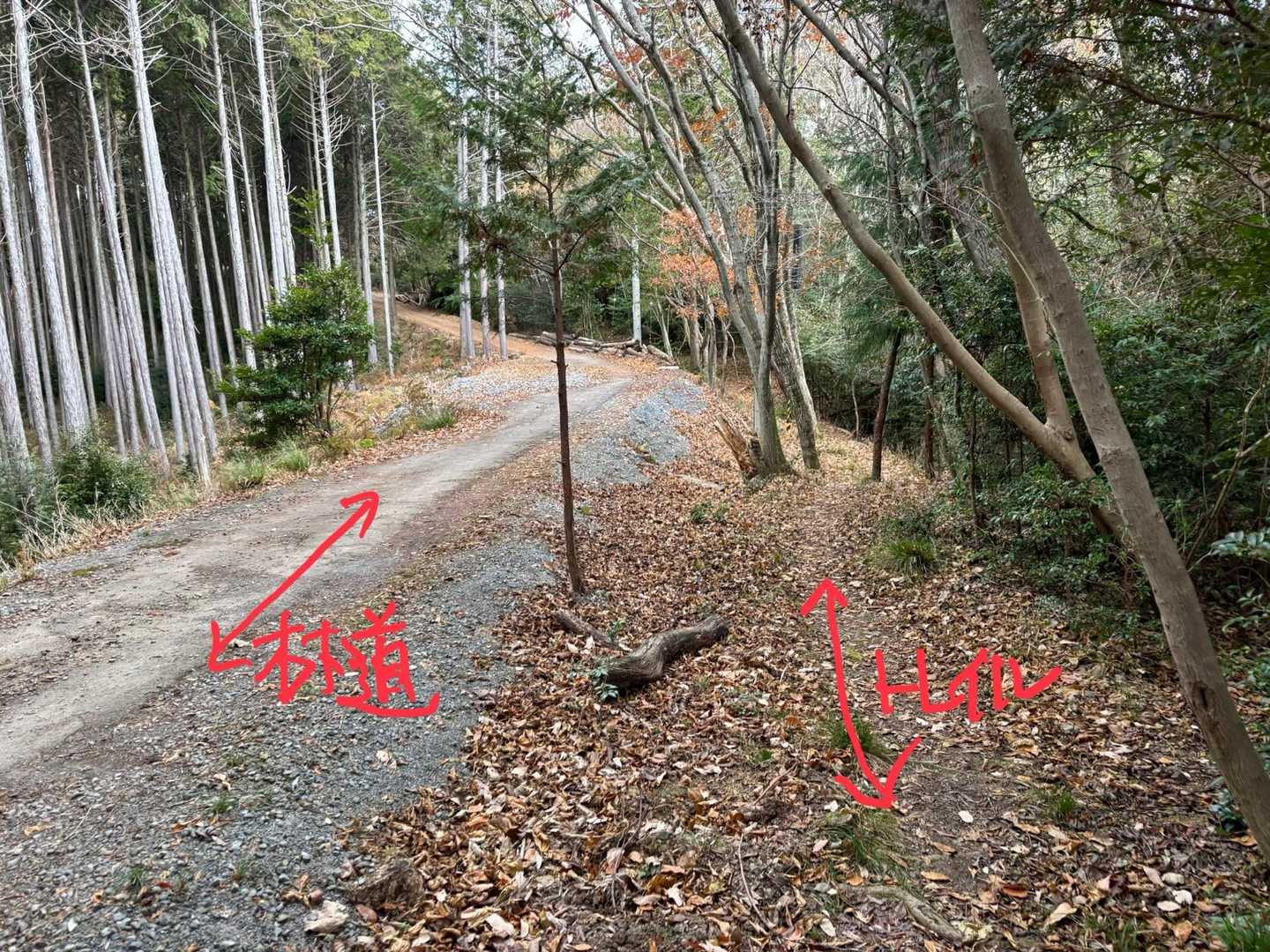お好きな方で