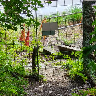 登山口の入り口は獣避け柵あります。(裏側から)カウンターを押してねって書いてありましたが見当たらず