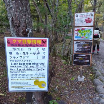 9月に熊目撃情報ありとのこと